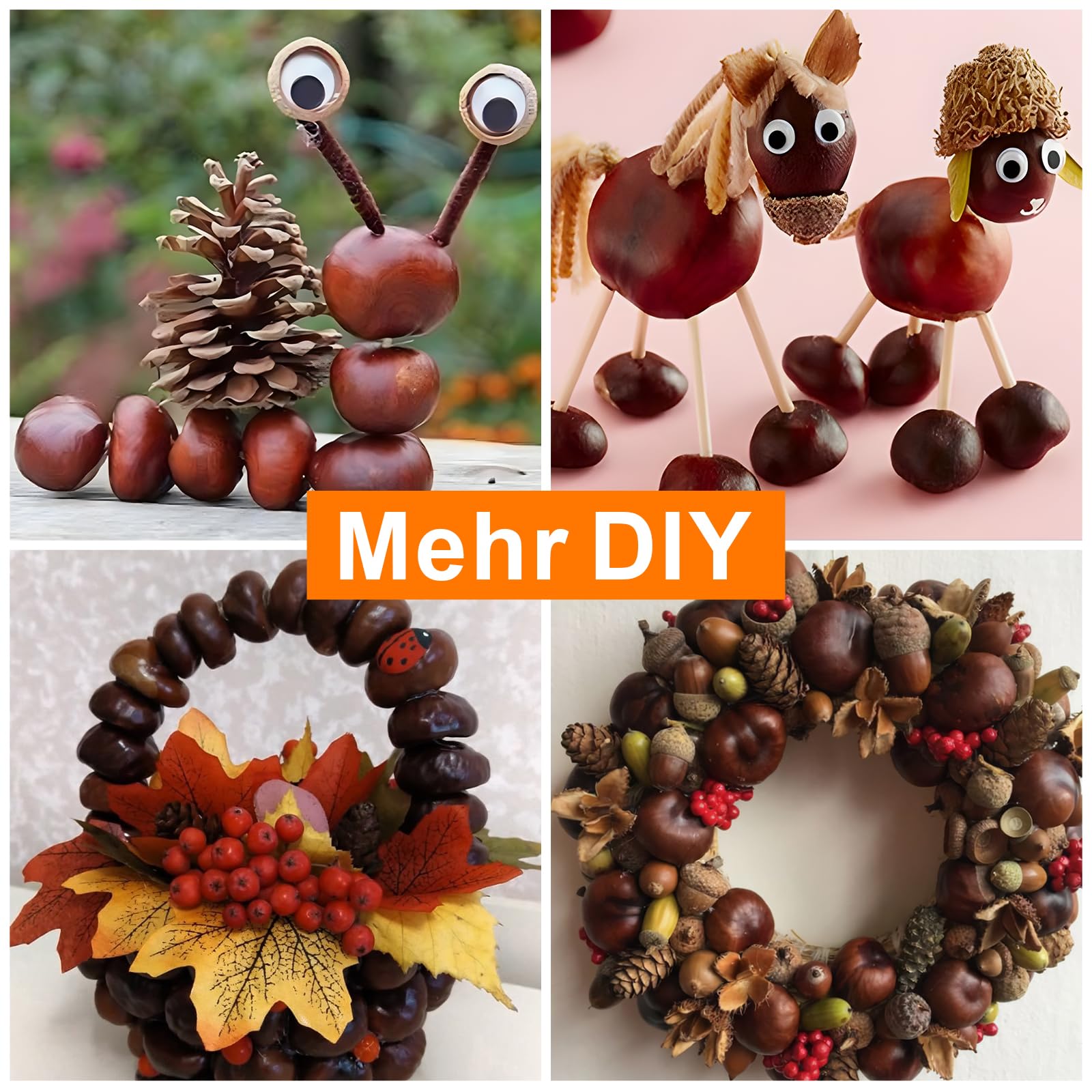 Kastanienbohrer Set Kinder - Bastelset Mit Federn, Augen, Pompons Für Herbstdekoration