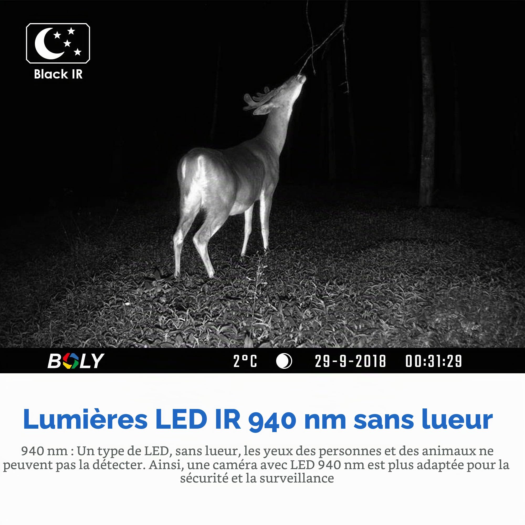 Bolyguard Caméra de Chasse HD 940nm IR LED, caméra Sauvage 36mp 4G, Camouflage modèle Hors Route caméra de Jeu de Surveillance de sécurité extérieure de Reconnaissance GPS molnus