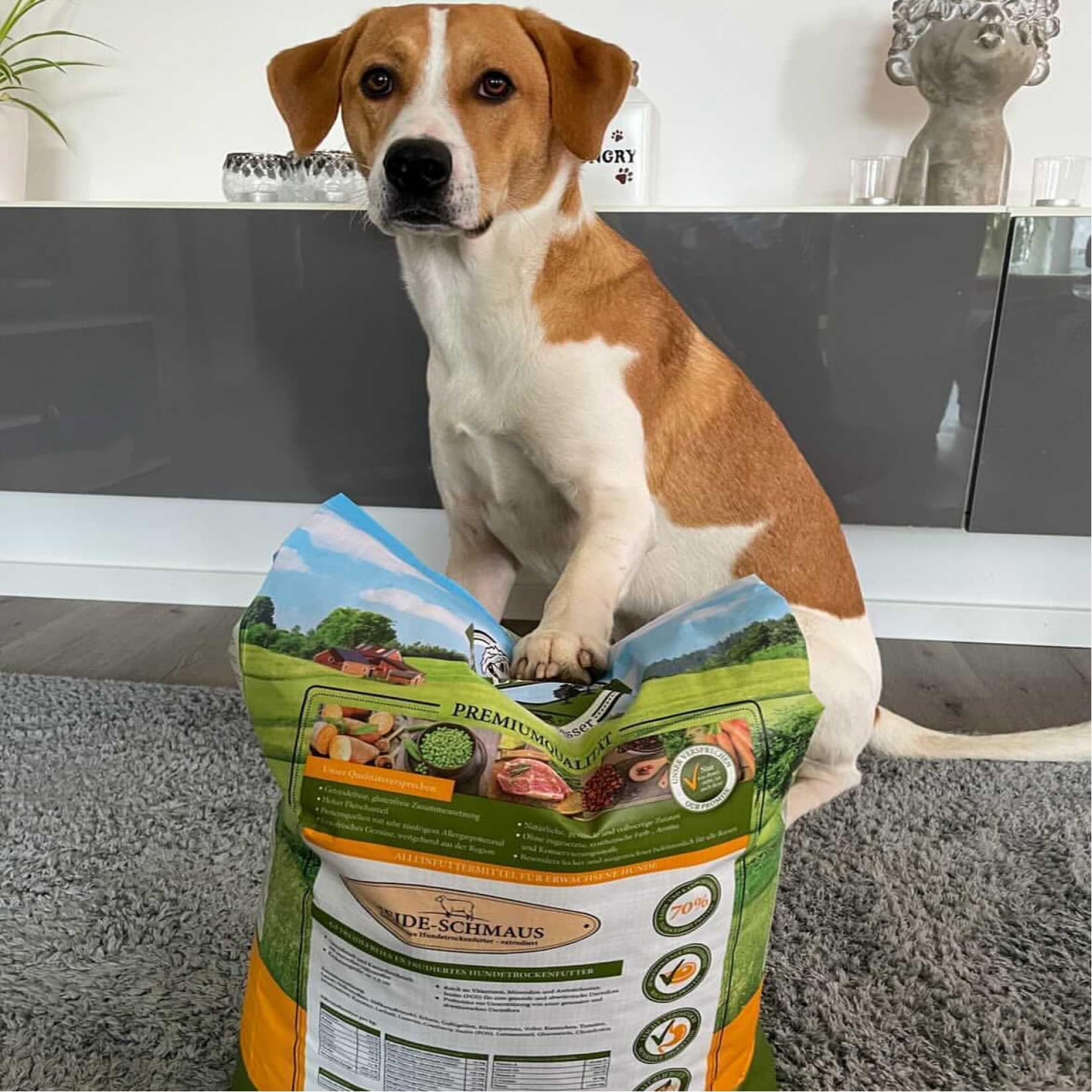 Bellfor Heide-Schmaus Trockenfutter mit Weidelamm und Wildkaninchenfleisch 7,5 kg - Getreidefrei Hoher Anteil an Omega-3-Fettsäuren, Reich an natürlichen Vitaminen