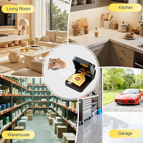 Miniatura 8 de Versión actualizada 2025 Paquete de 6 trampas para ratones, trampas grandes para ratones para interiores para el hogar, trampas para ratones de alta