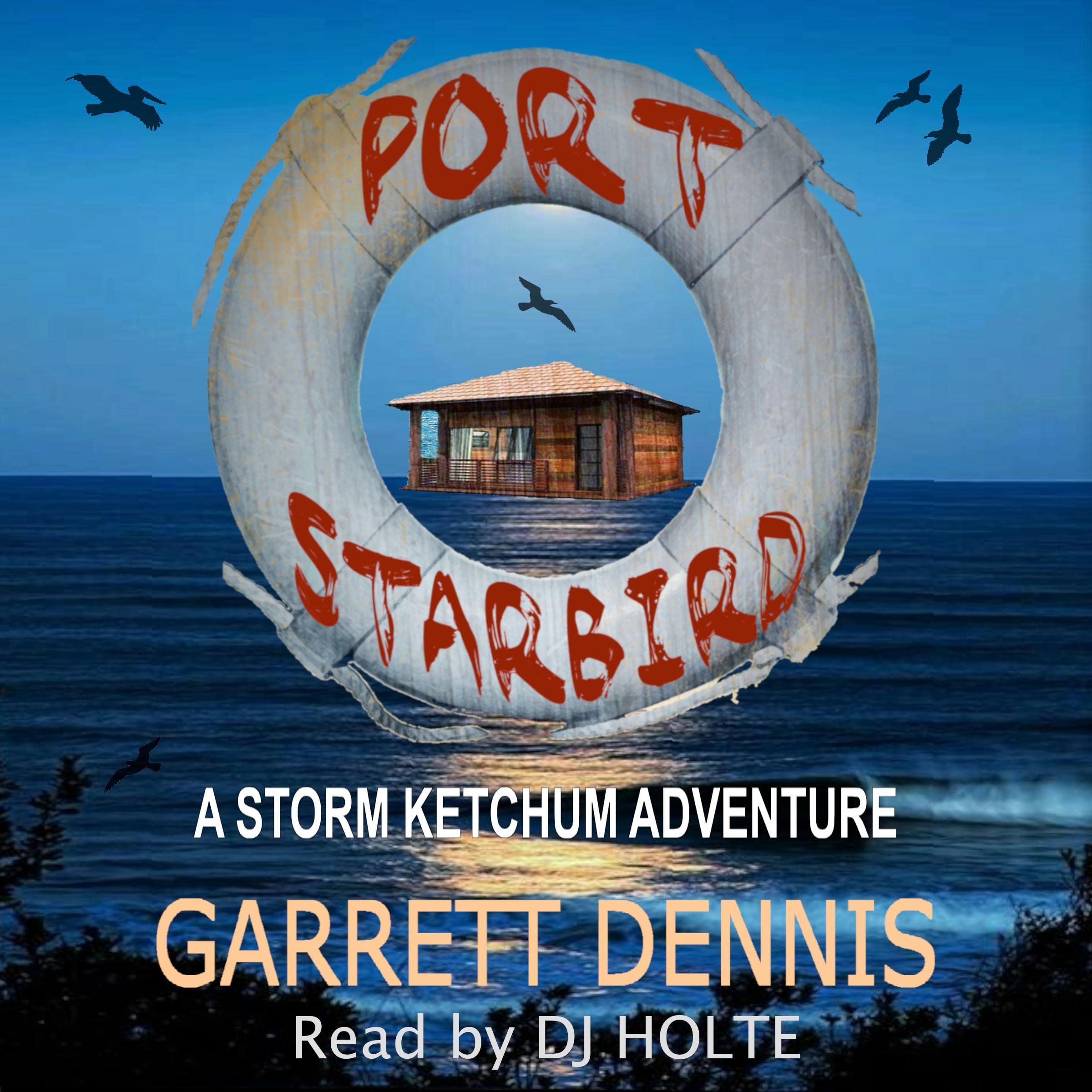 Cover art for Port Starbird