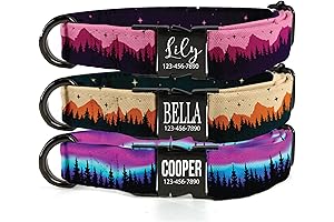 Personalized Dog Collar for Medium Dogs