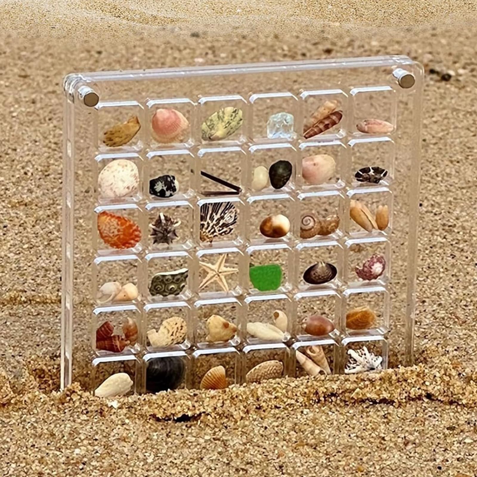 Muschel-Präsentationsbox 18x16cm - Handgefertigte Deko-Vitrine Für Schmuck & Sammlerstücke