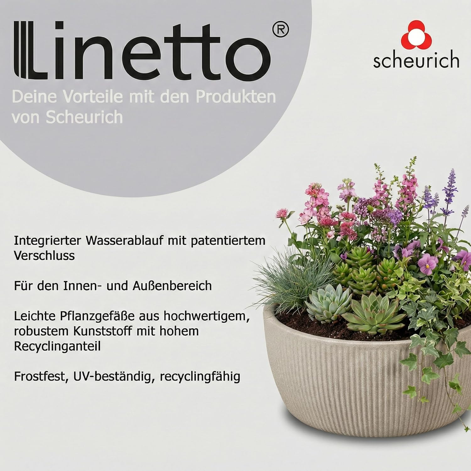 Scheurich Linetto Bowl 30 - Round Planter - Sand - Made with Recycled Plastic - 10 Year Guarantee - Outdoor Use