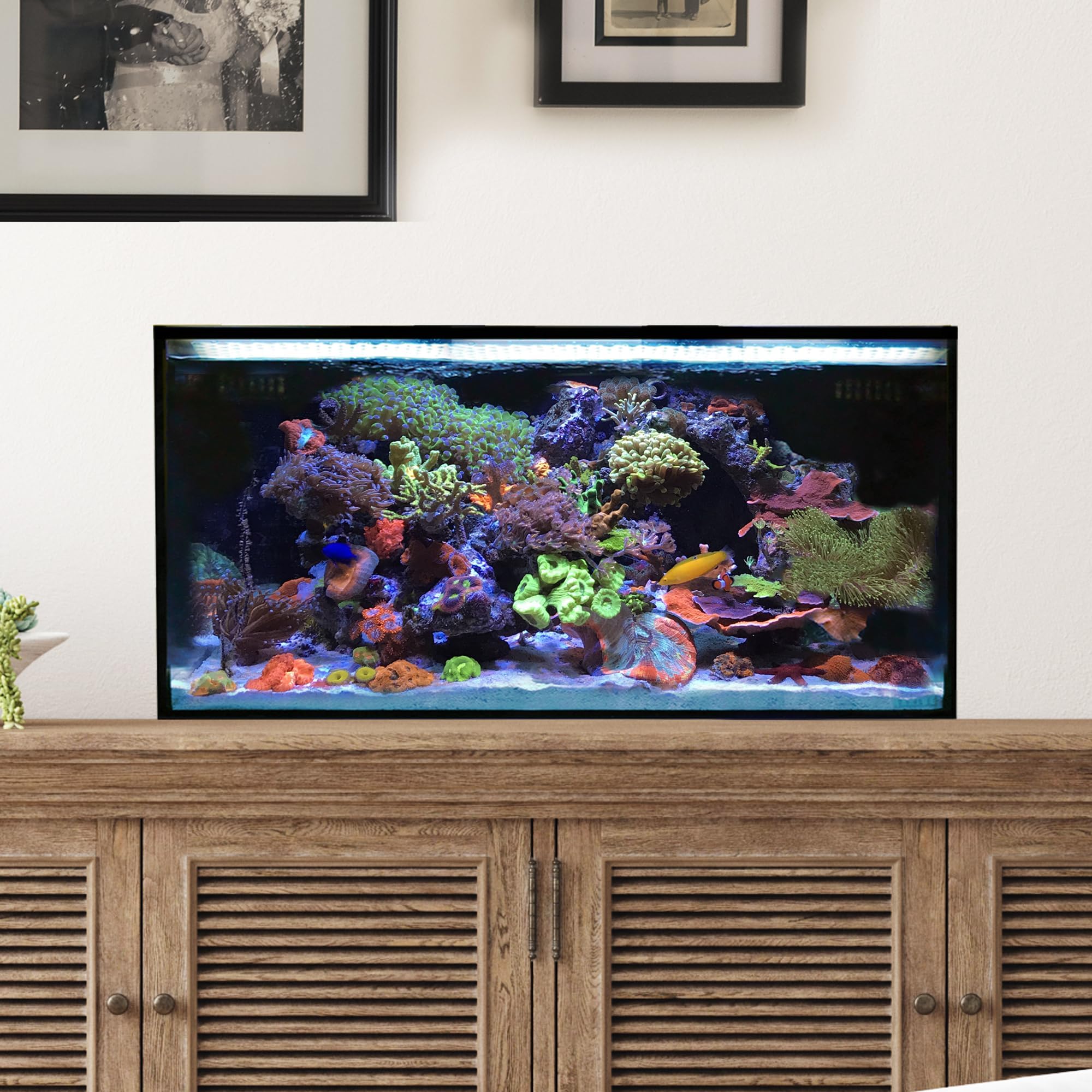 Starter Kit Aquariums (25 Gallon Lagoon)