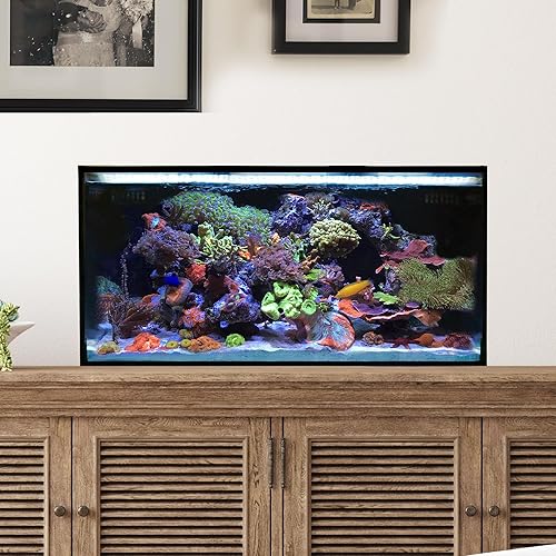 Innovative Marine Starter Kit Aquariums (25 Gallon Lagoon)