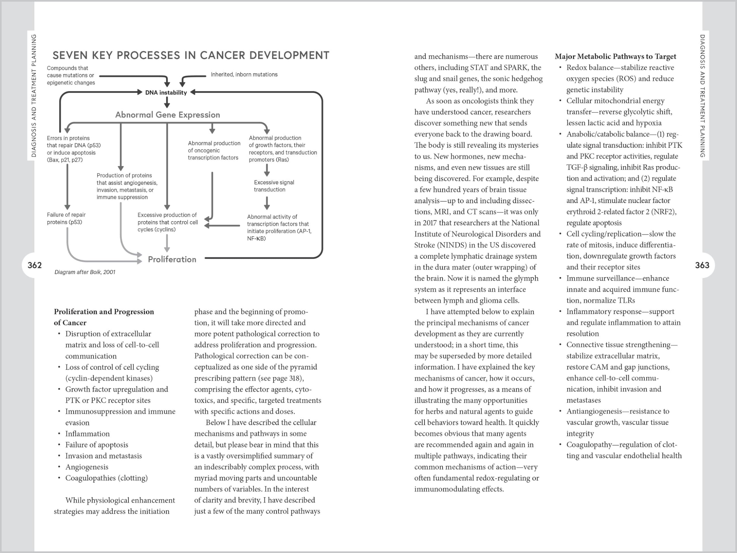 Holistic Cancer Care: An Herbal Approach to Reducing Cancer Risk, Helping Patients Thrive During Treatment, and Minimizing Recurrence