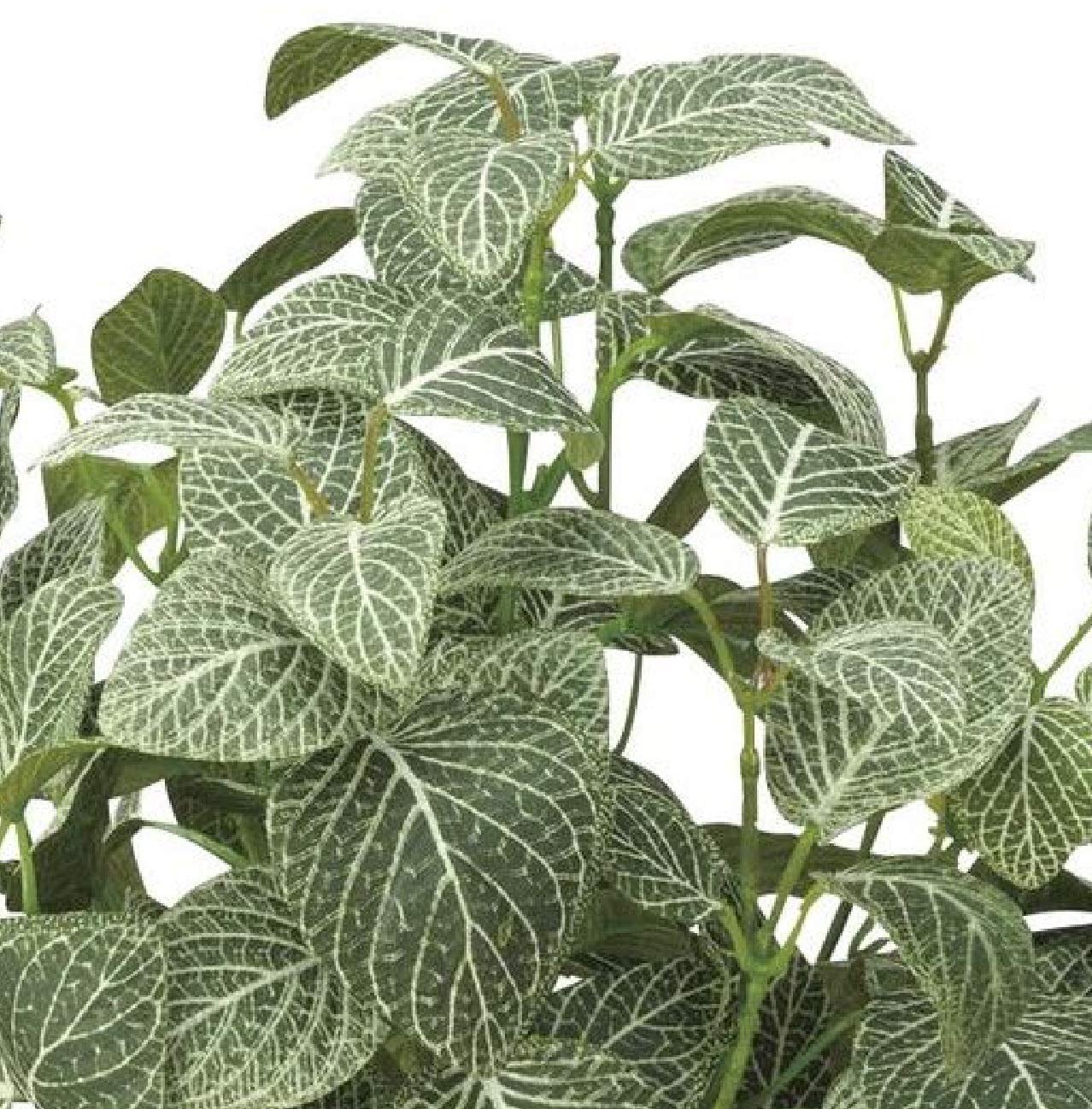 Amazon｜《アートグリーン》《人工観葉植物》光触媒 光の楽園 フィット