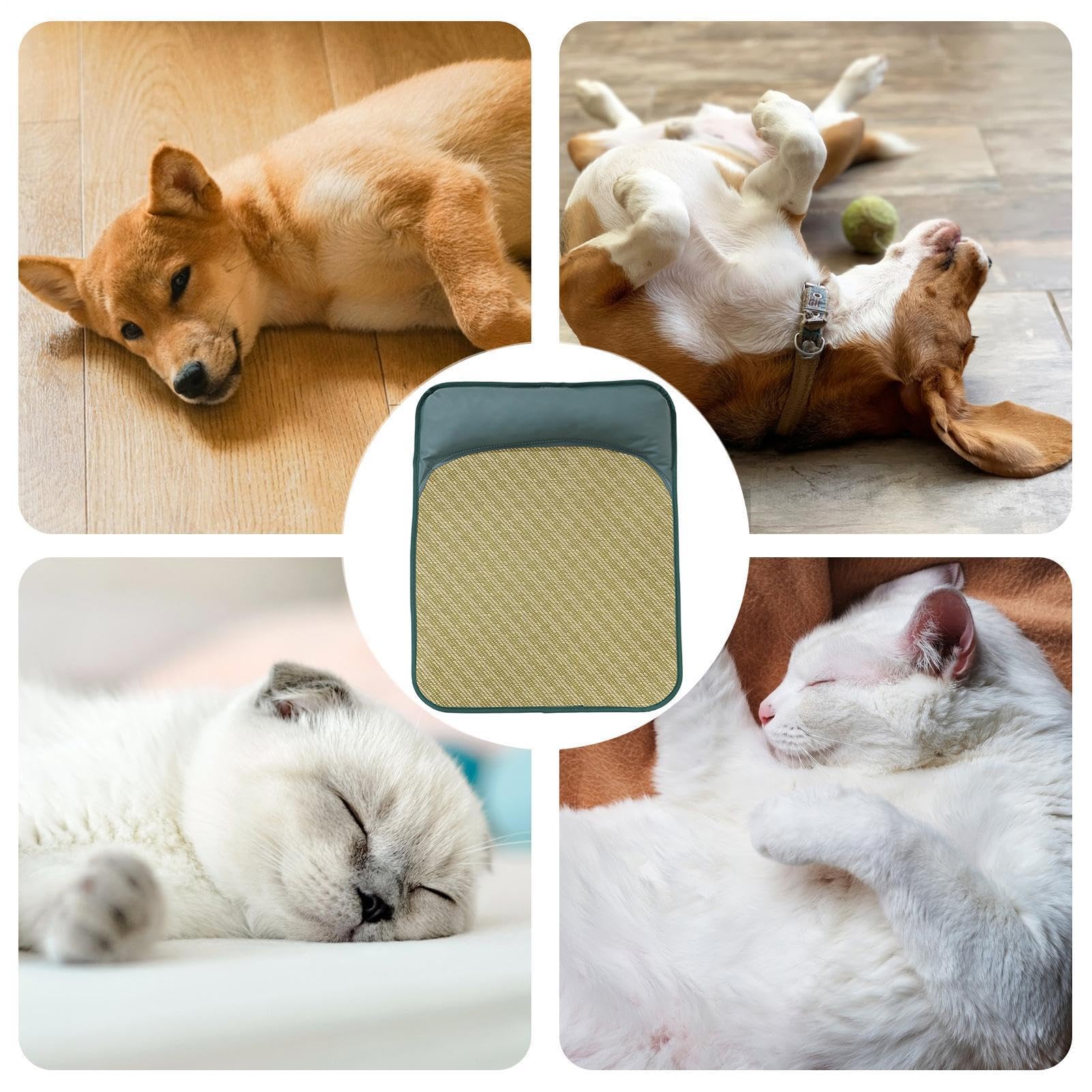 Alfombra de refrigeración para mascotas genérica Cama plegable y lavable | Cojín refrescante efecto helado cama para perros para apartamento al aire libre balcón piso camping