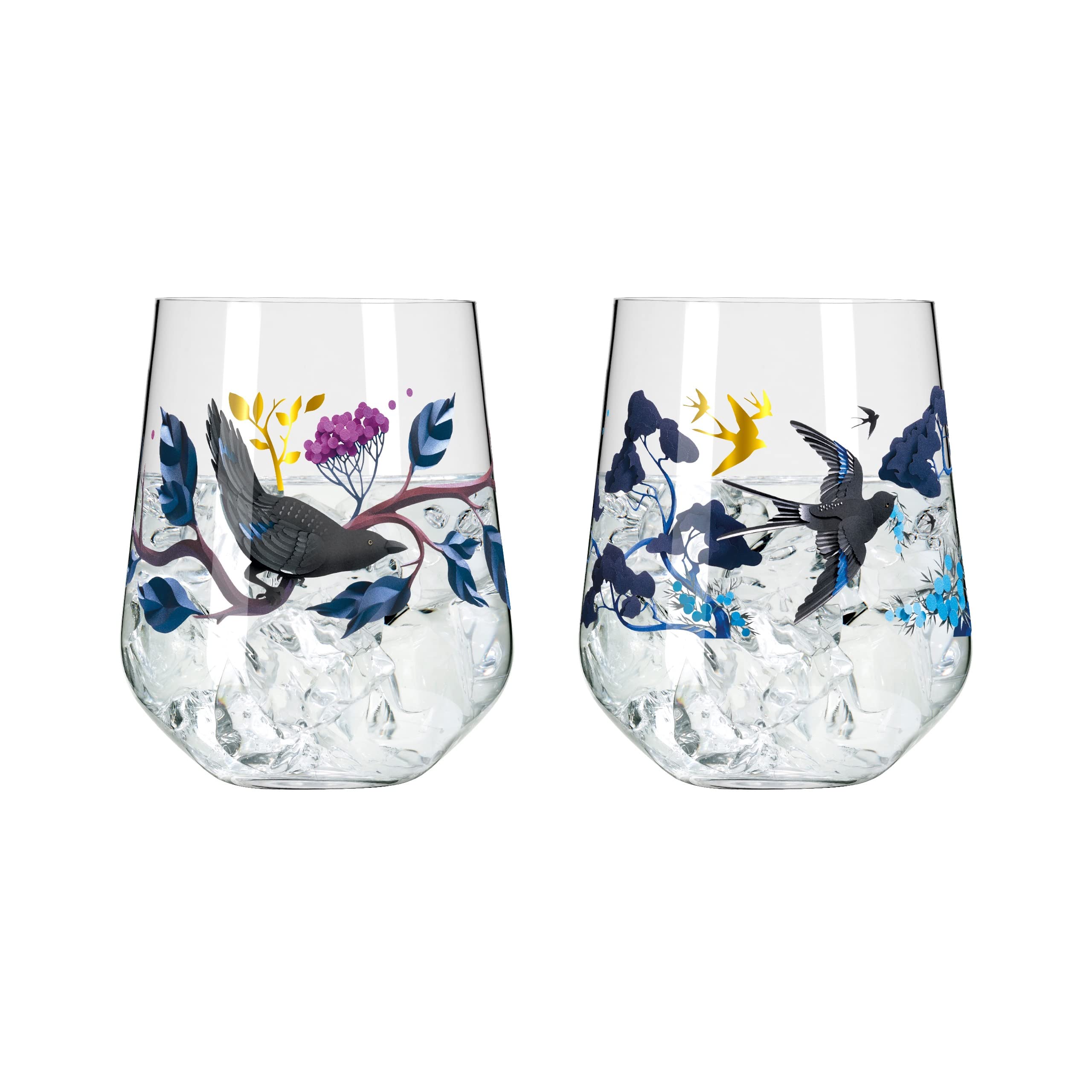 RITZENHOFF 3801002 Set di bicchieri da gin 700 ml - Serie Botanic Glamour No. 1, 2 pezzi con mondi di carta - Made in Germany