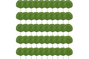 Eucalyptus Petals for a Flourishing Decor Delight