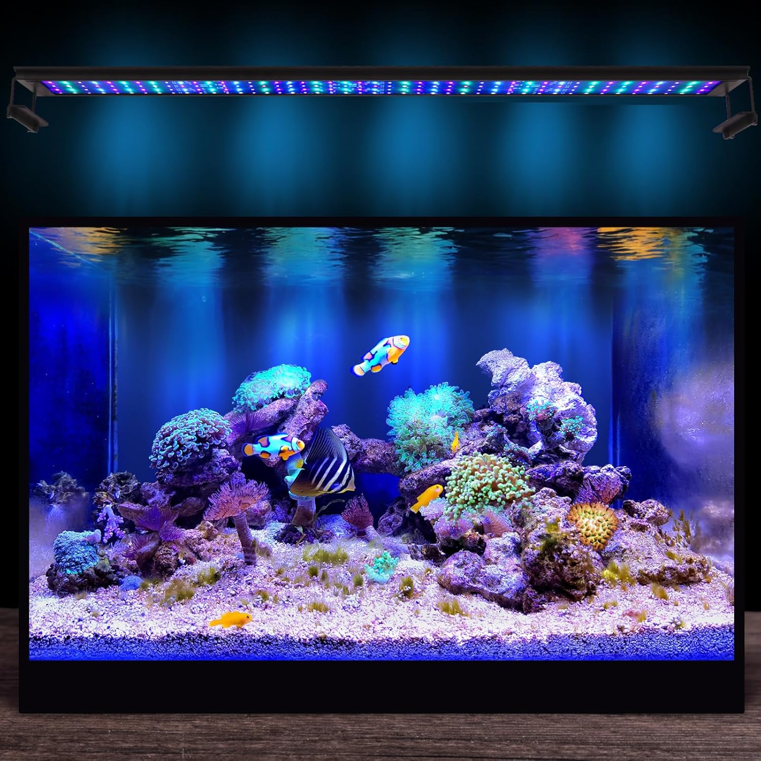 72W LED Saltwater Aquarium Light, Marine Led Reef Light for Corals with White, Blue, Cyan, UV Violet LEDs Dimmer Timer for SPS/LPS/Mixed/FOT Corals and 35-42 Inch Saltwater Fish Tanks