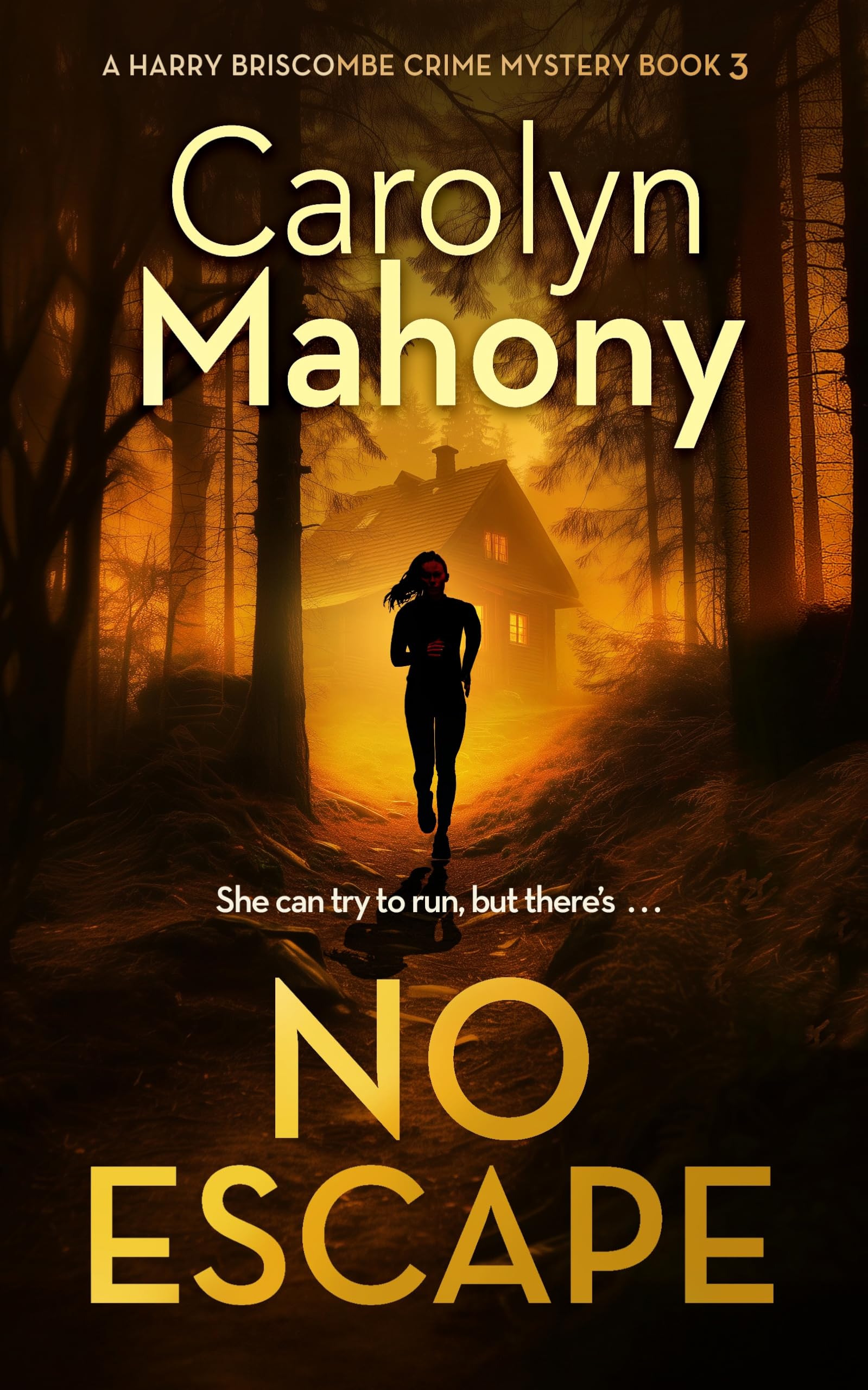 No Escape: 3 (DI Harry Briscombe Mystery)