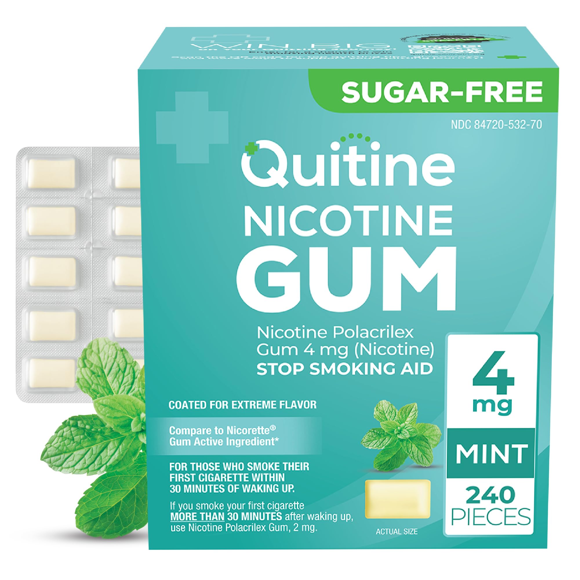 Quitine Nicotine Gum 4mg, Mint Flavor, Stop Smoking Aid – Relieve Nicotine Cravings with Effective, Affordable NRT | Long-Lasting Flavor, 240 Count, Traditional Gum to Support Your Quit Journey