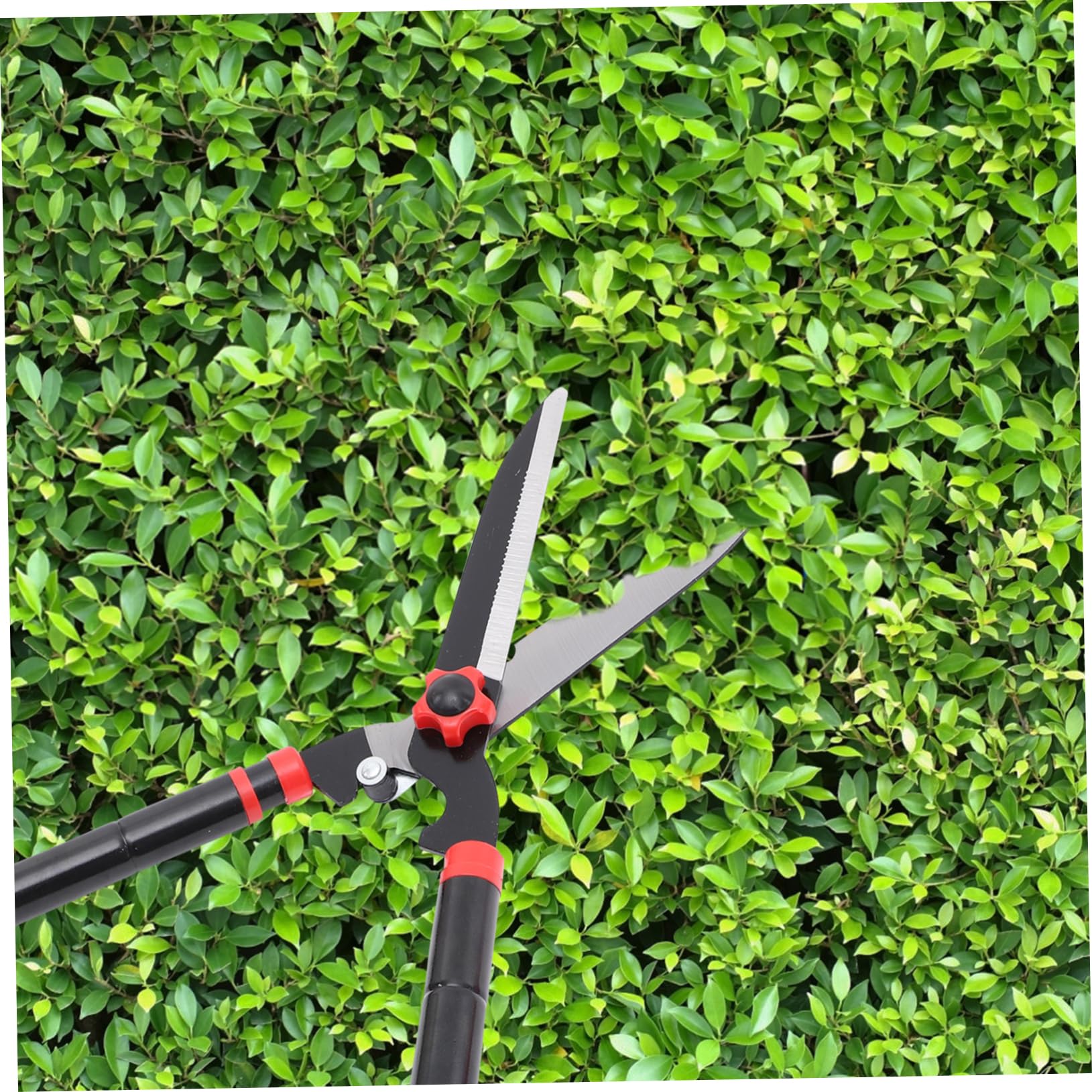Toddmomy Cesura Per Siepi Manuali Cesoie Per Giardinaggio Ad Resistenza Forbici Per Potatura Arbusti e Attrezzi Per e Impugnatura in Gomma