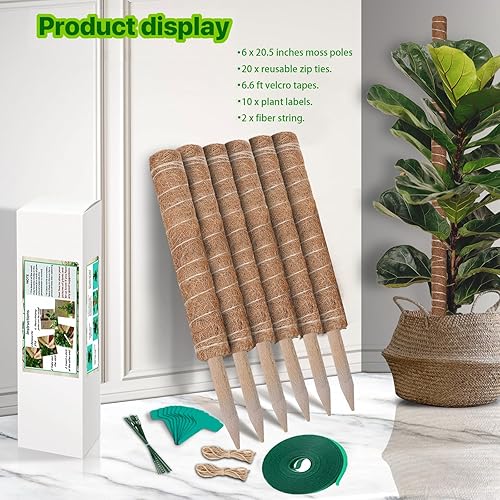 Miniatura 5 de Poste de musgo de 123 pulgadas, paquete de 6 postes de musgo para plantas Monstera de 20.5 pulgadas, soporte de tótem de fibra de coco para plantas
