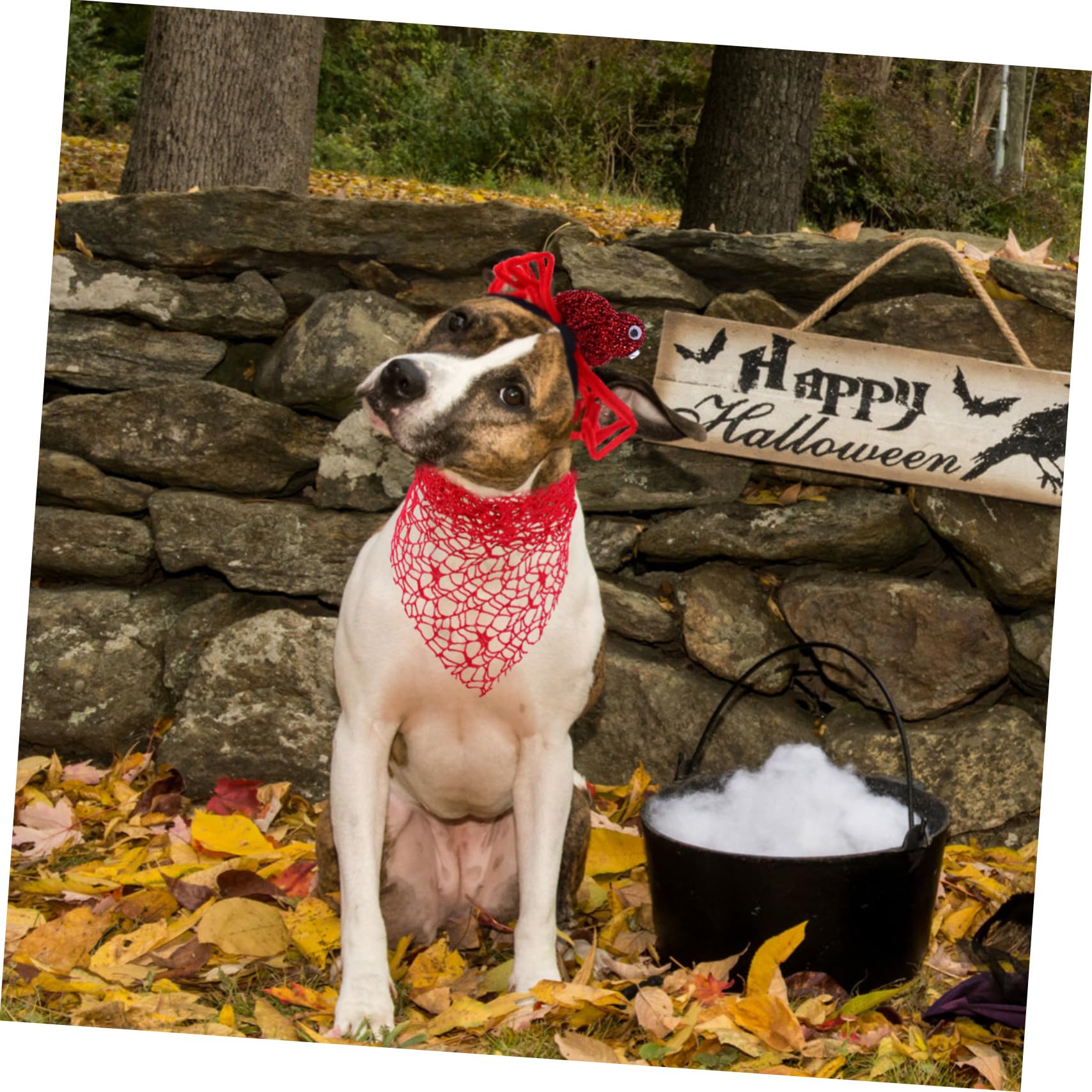 Bandana Mignon pour Chien Halloween, Lot de 2, Polyester Rouge | Bandeau Araignée, Accessoires pour Chiens Halloween, Costume Halloween pour Chien
