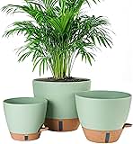 8/10/12 Inch Self Watering Pots for Indoor/Outdoor Plants - Large Plastic Planter with Drainage Holes, Water Level Indicator & Deep Reservoir, Modern Decorative Flower Pots (Green)