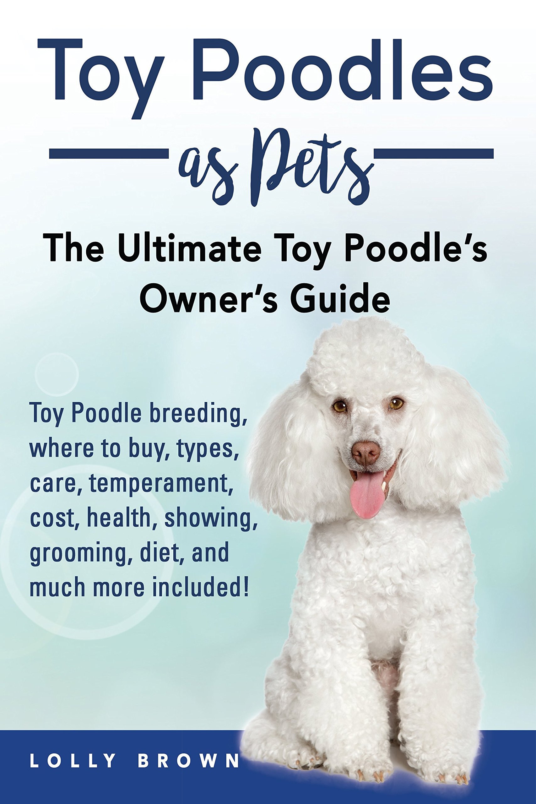 Buy Toy Poodles as Pets Toy Poodle breeding, buying, care, temperament