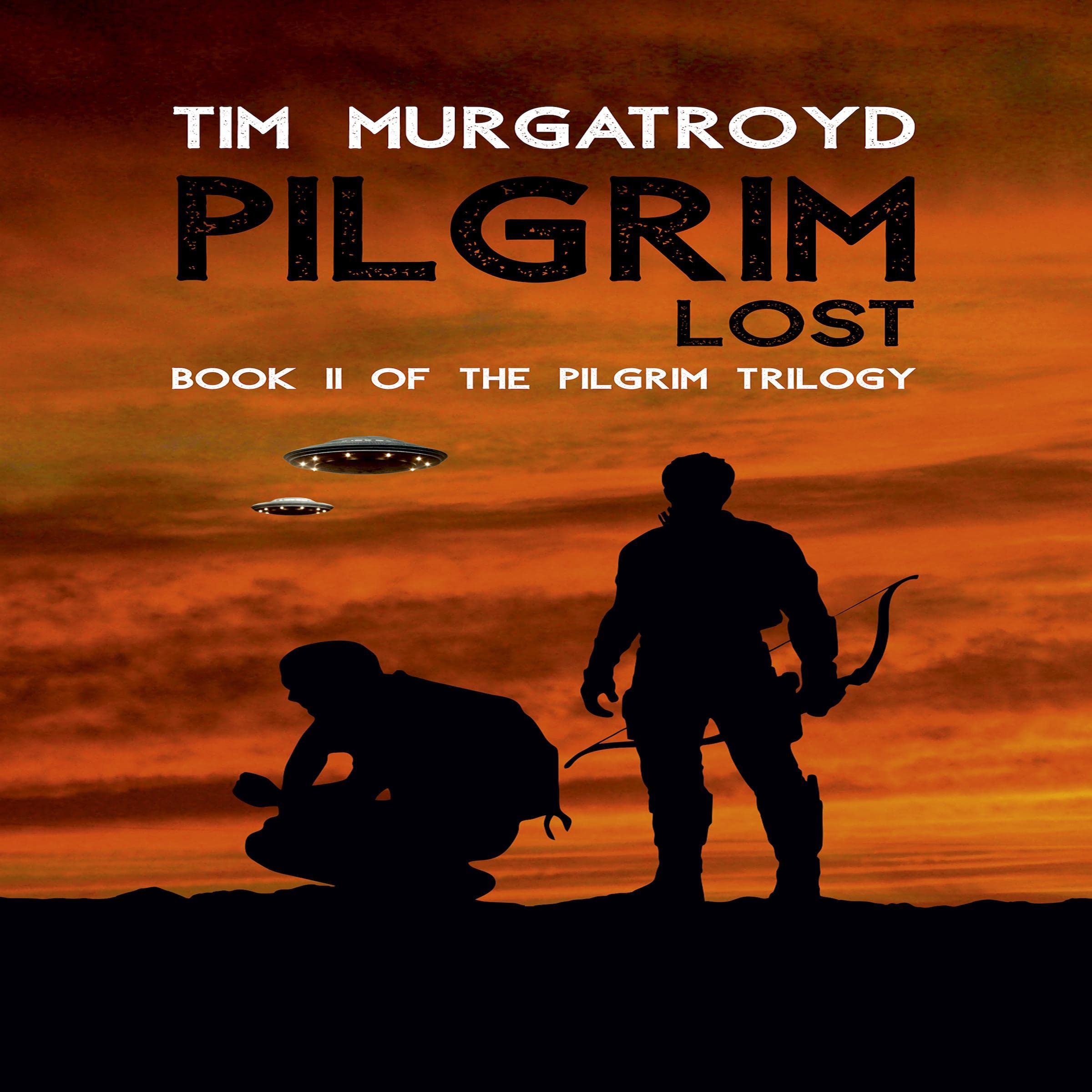 Cover art for Pilgrim Lost