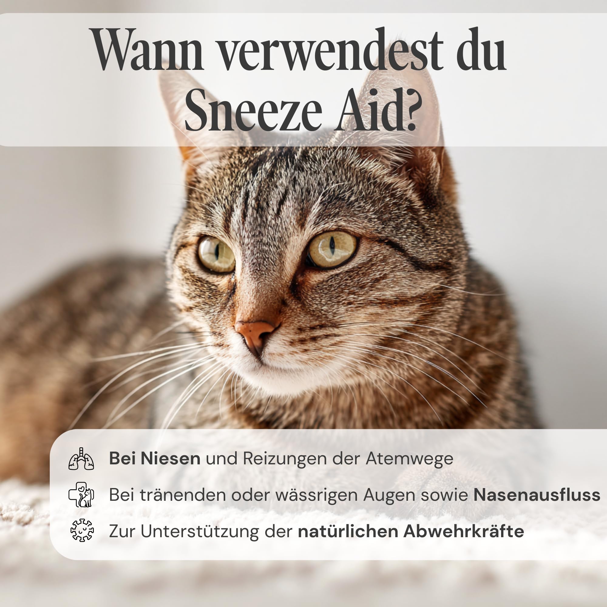 Sneeze Aid Kat - Suplemento dietético para la enfermedad del estornudo y los estornudos - 90 comprimidos de 250 mg
