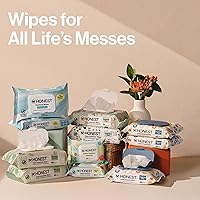 Vista 9 de The Honest Company - Toallitas limpiadoras para bebé con 99% de agua, respetuosas con el medioambiente, compostables, a base de plantas, Pattern Play