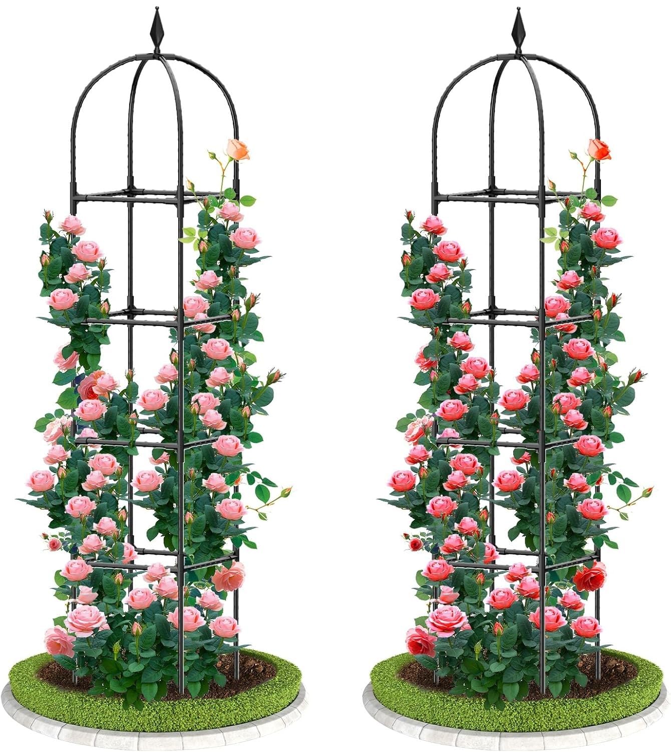 latern obélisque treillis plantes