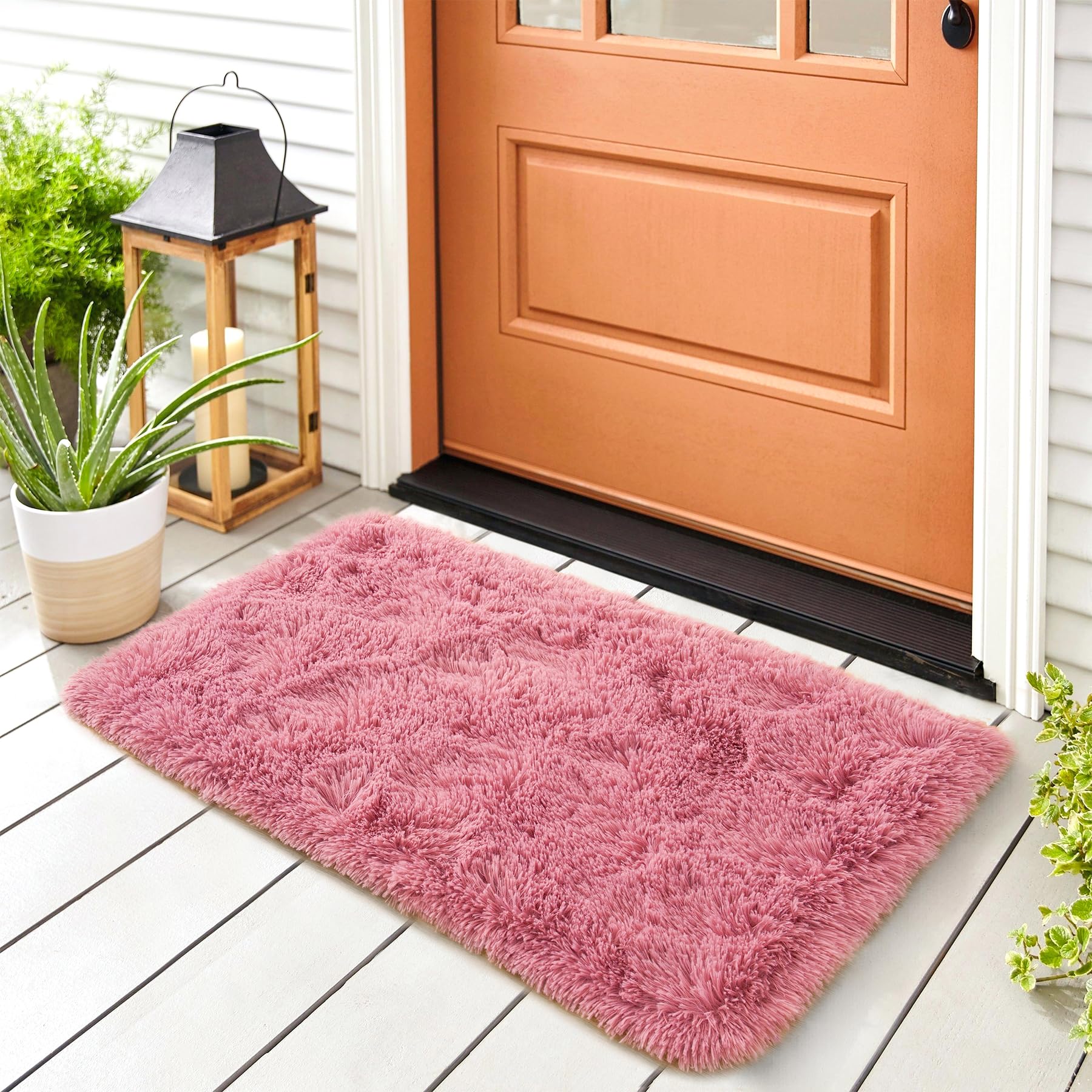 Noahas Fluffy Blush Rugs for Bedroom Girls,Door Mat Indoor Entrance,2x3 Shaggy Small Non-Slip Entryway Entry Area Rugs,Soft Plush Bedside Throw Kids