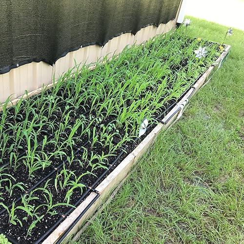 Miniatura 6 de Colector de conexión de rejilla multijardín, conecta dos rejillas de jardín vecinas yo cadena de margarita de colectores con mangueras de jardín