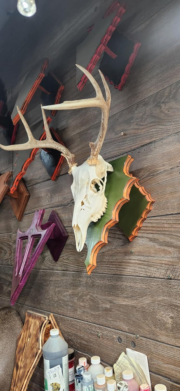 European Deer Mounting Plaque Arrowhead Large knapped olive hunter orange