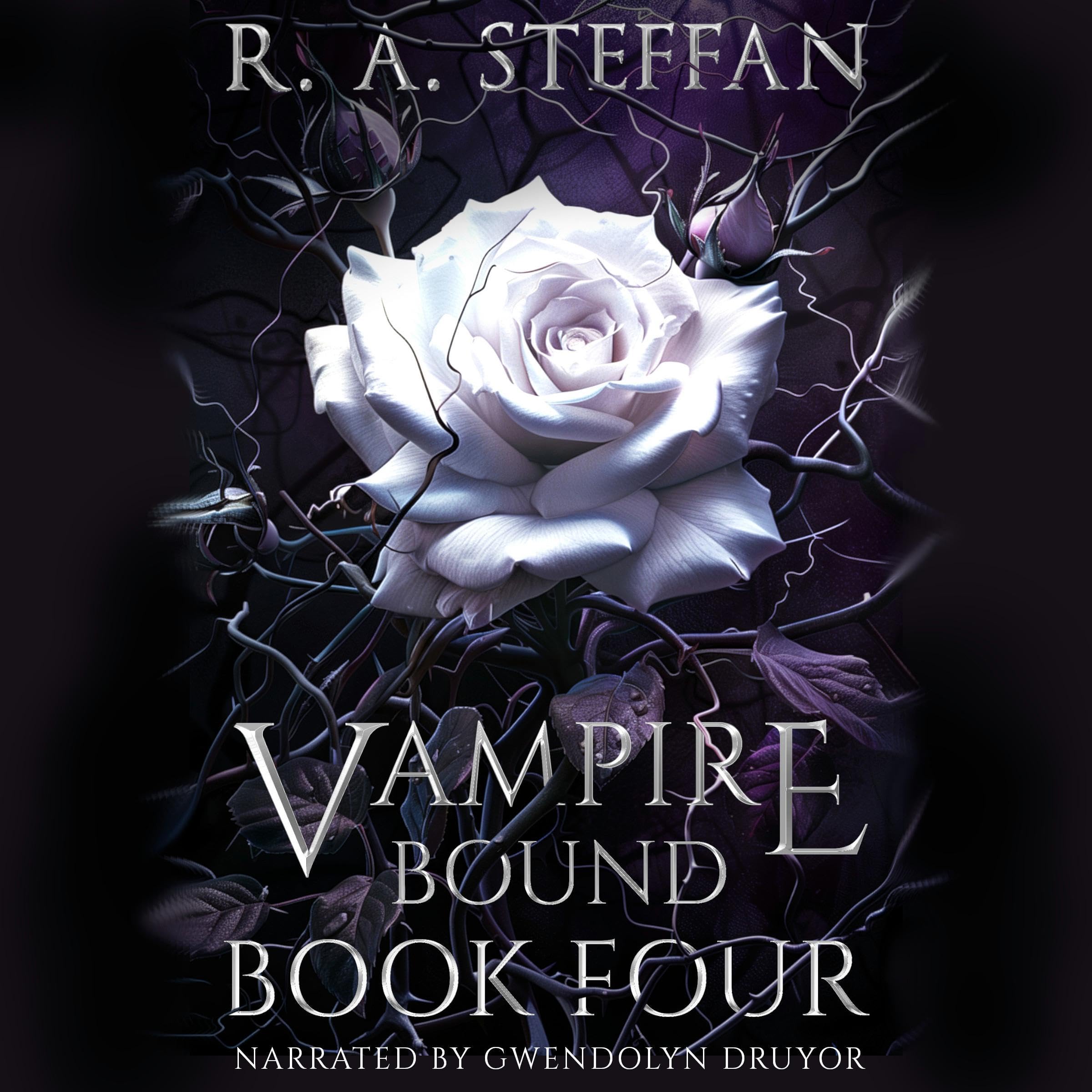 Cover art for Vampire Bound, Book Four