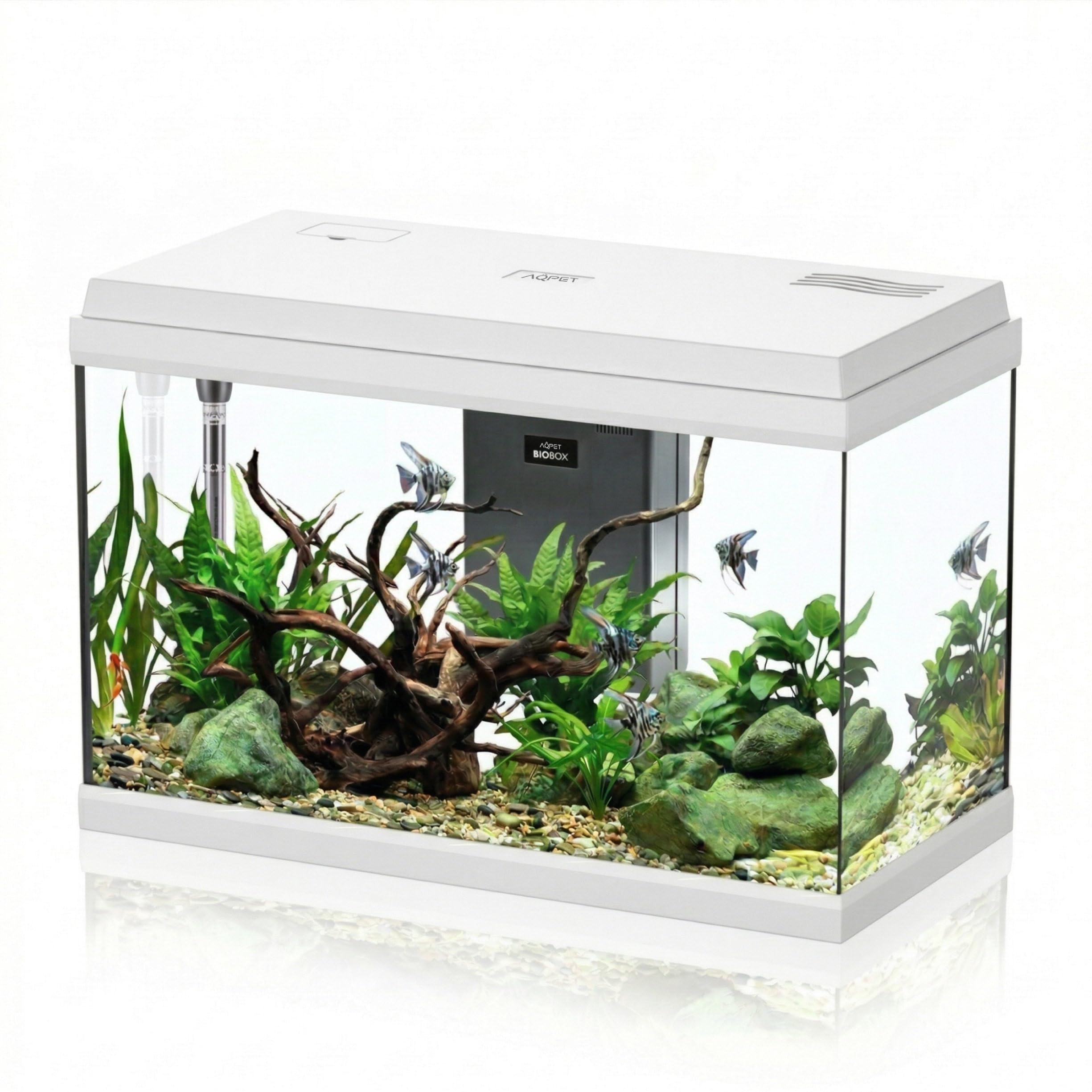 AQPET Acquario in Vetro per Pesci Tropicali Completo di Accessori Filtro Luce Simply, 60 59x30x39 cm 60 Litri, Bianco