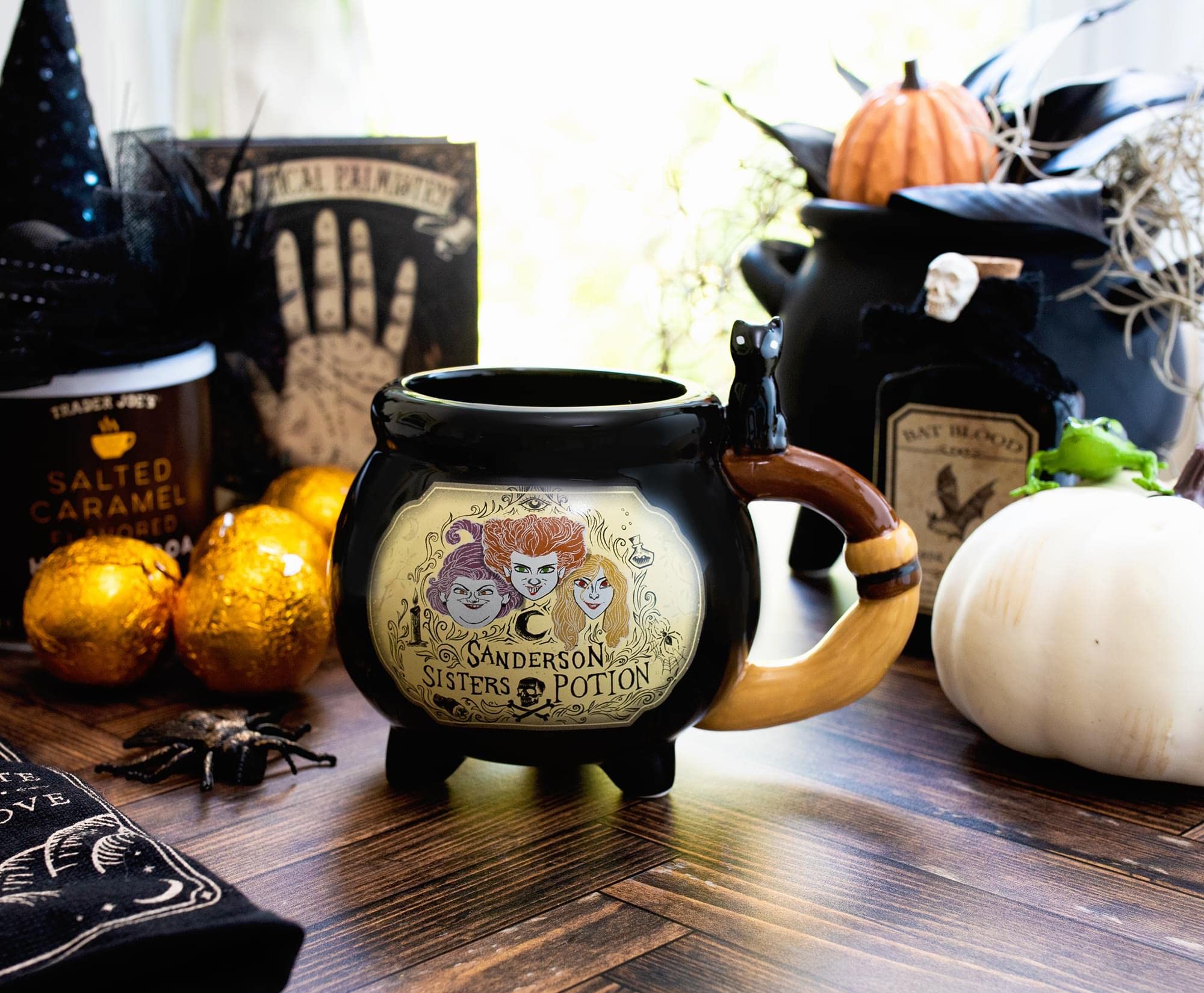 Amazon.com: Silver Buffalo Hocus Pocus Sisters Potion Label Boxed