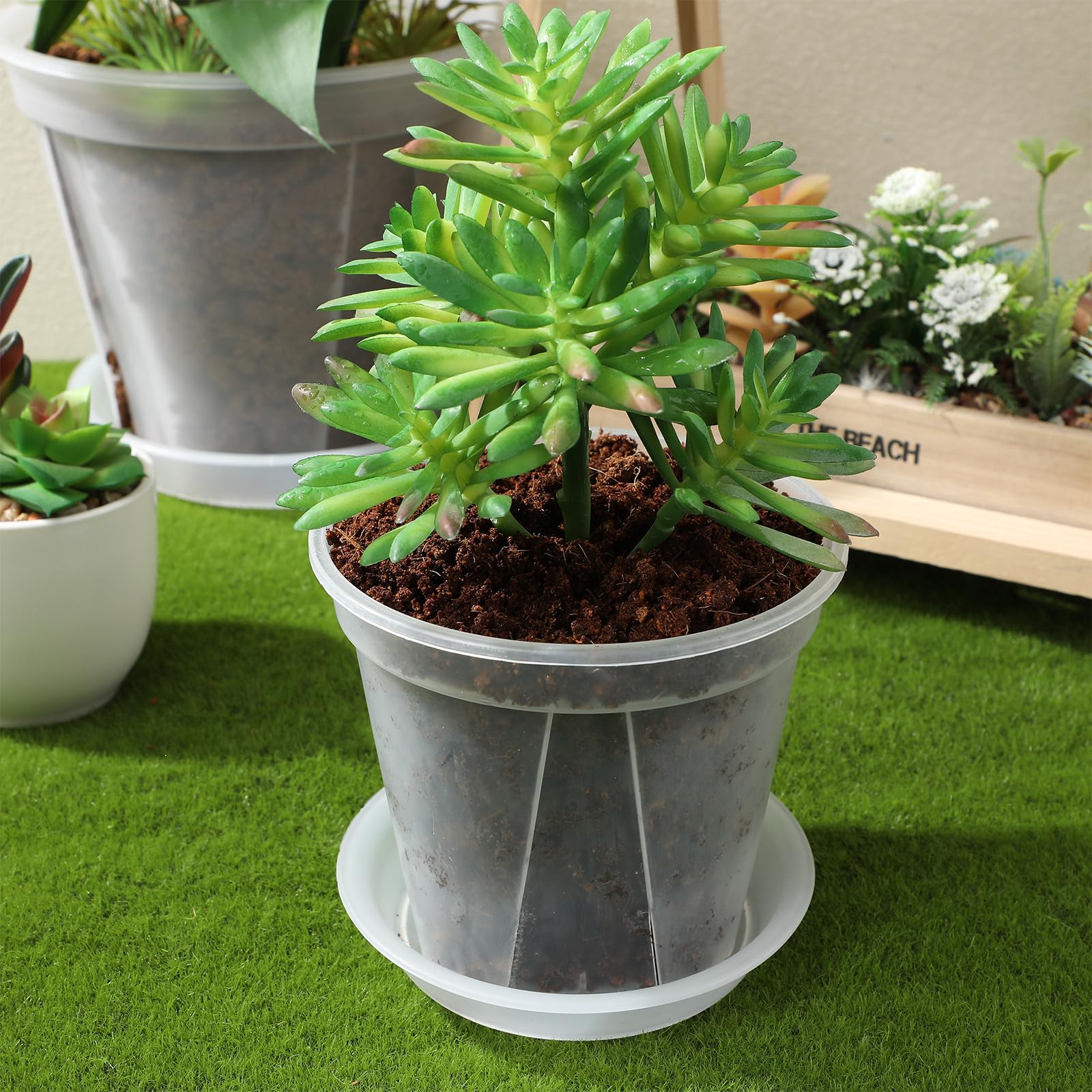 Totority Set 4 Vasi per Piante in Plastica con Sottovaso, Vasi da Fiori Trasparenti con Fori per Drenaggio e Ventilazione, Capacità 0,15-1 Litro, per Piante Grasse e Fioriere da Interno