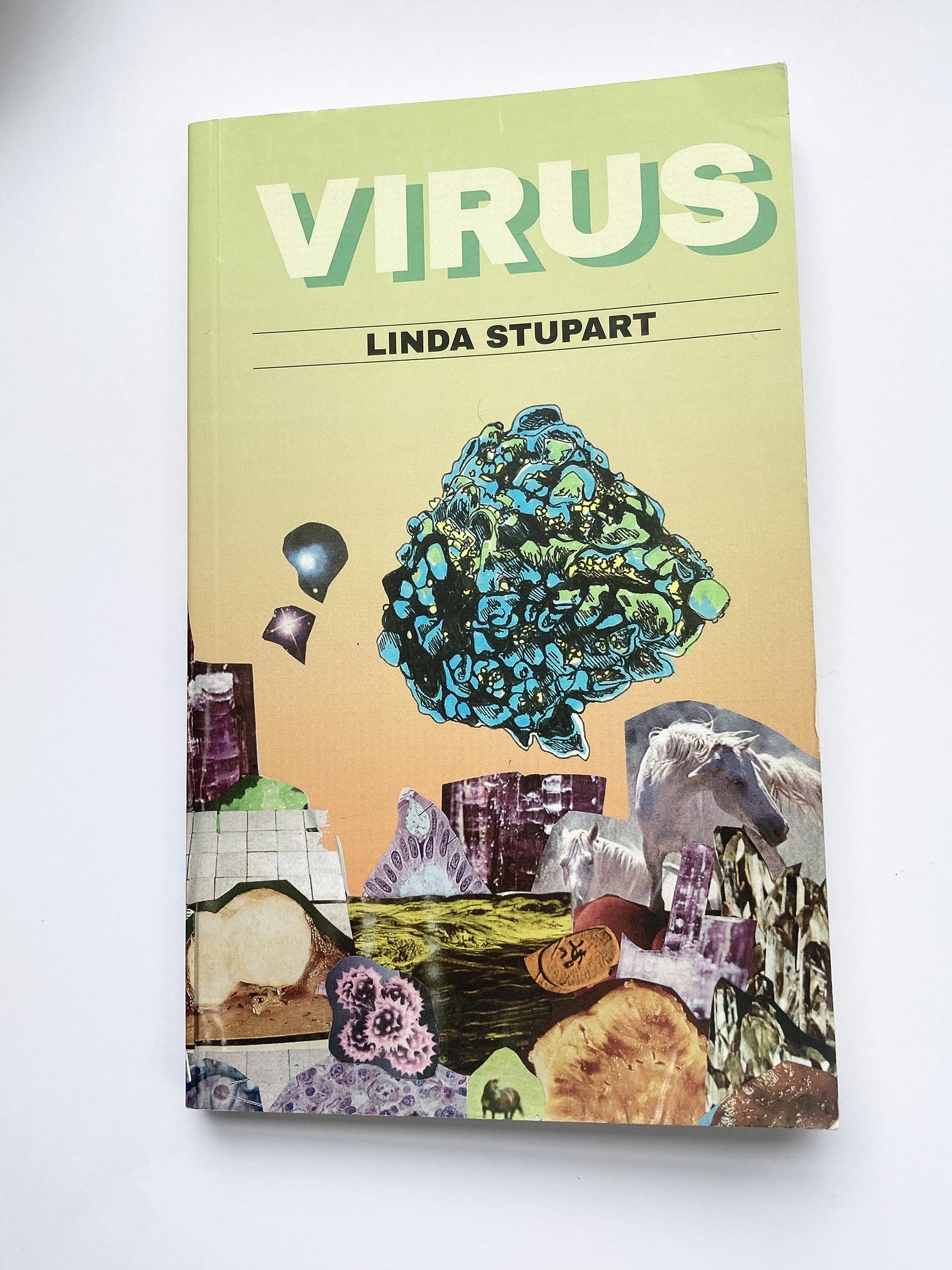 Virus