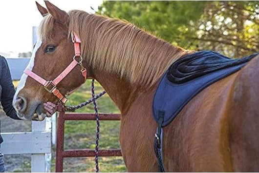 Intrepid International Comfort Plus Bareback Pad, Black, 21-3/4 in x 22
