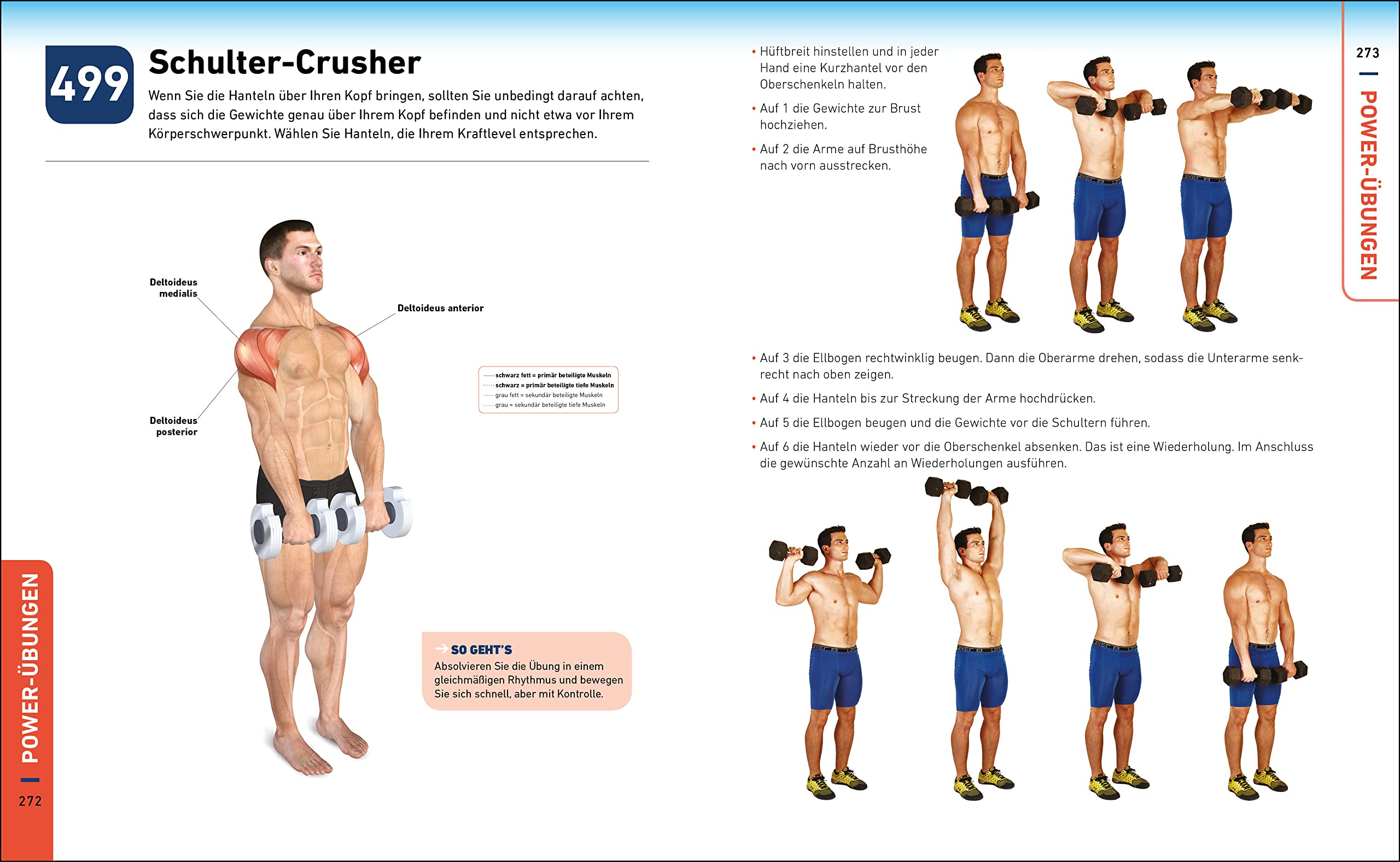 Die H.I.T.-Bibel: 500 hochintensive Übungen für Ihr Power-Workout