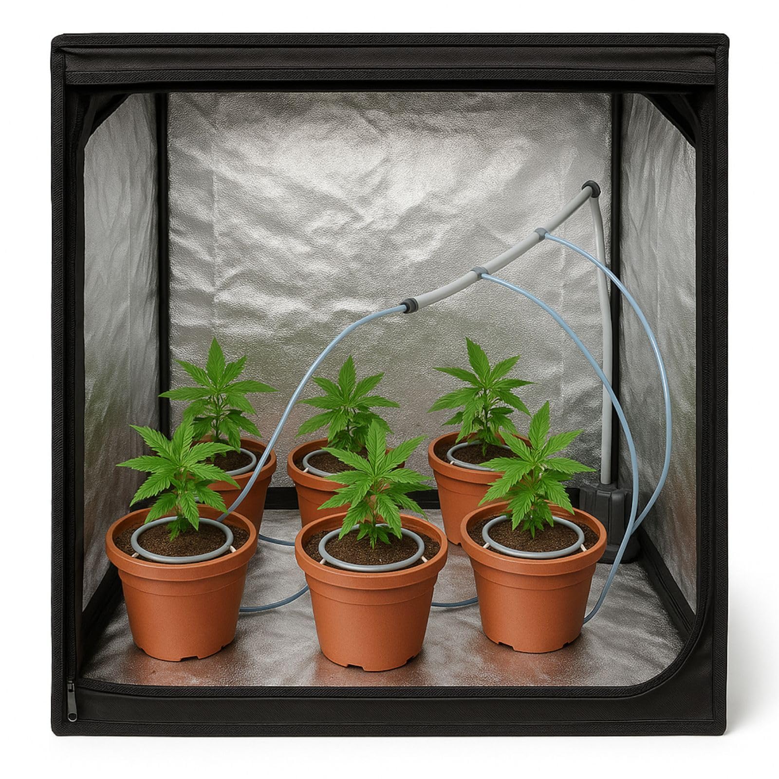 Weedness Water Master Tropf Bewässerung 12er Set -Automatische Bewässerungssystem Grow Anbau Drip Micro Indoor Outdoor