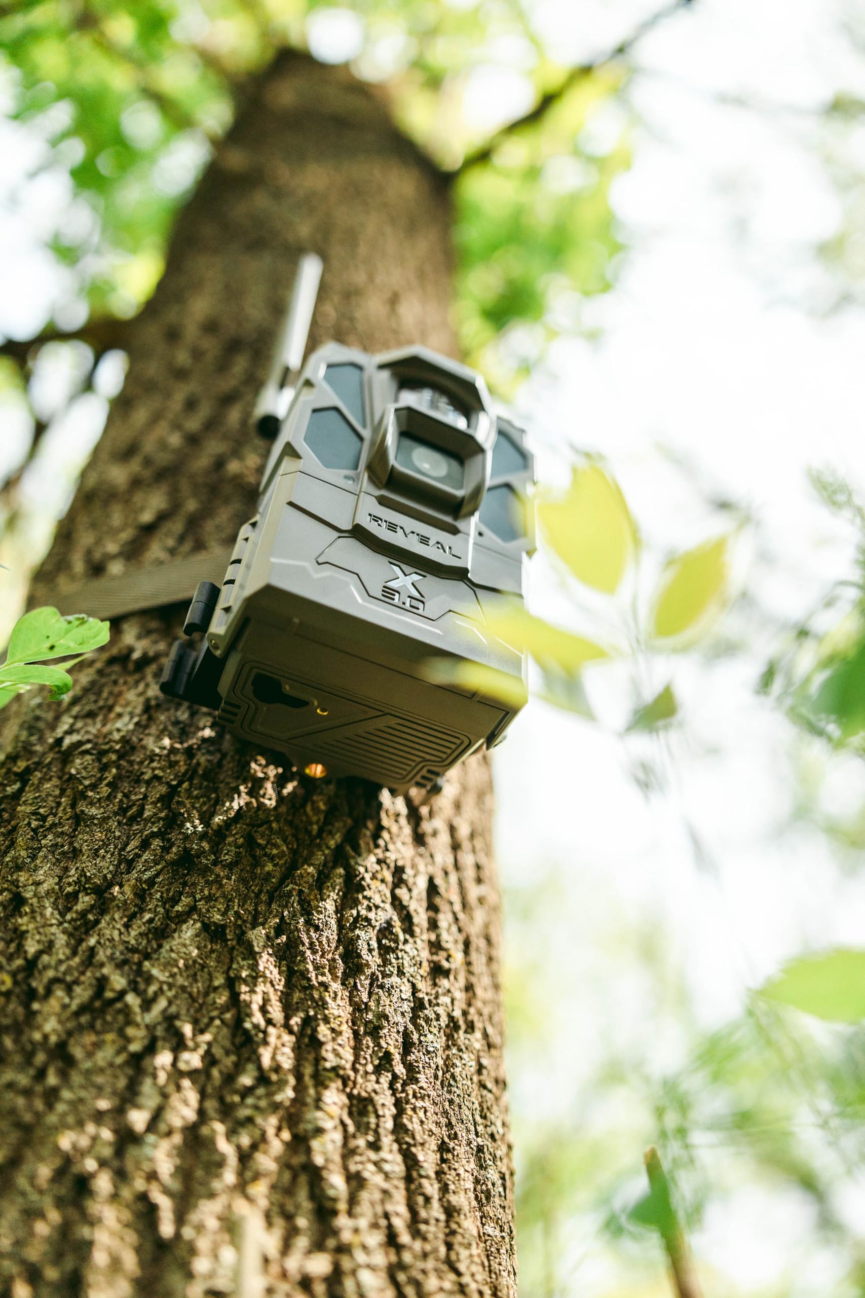 Dunlap's LDC Marten Lure 1 Oz.