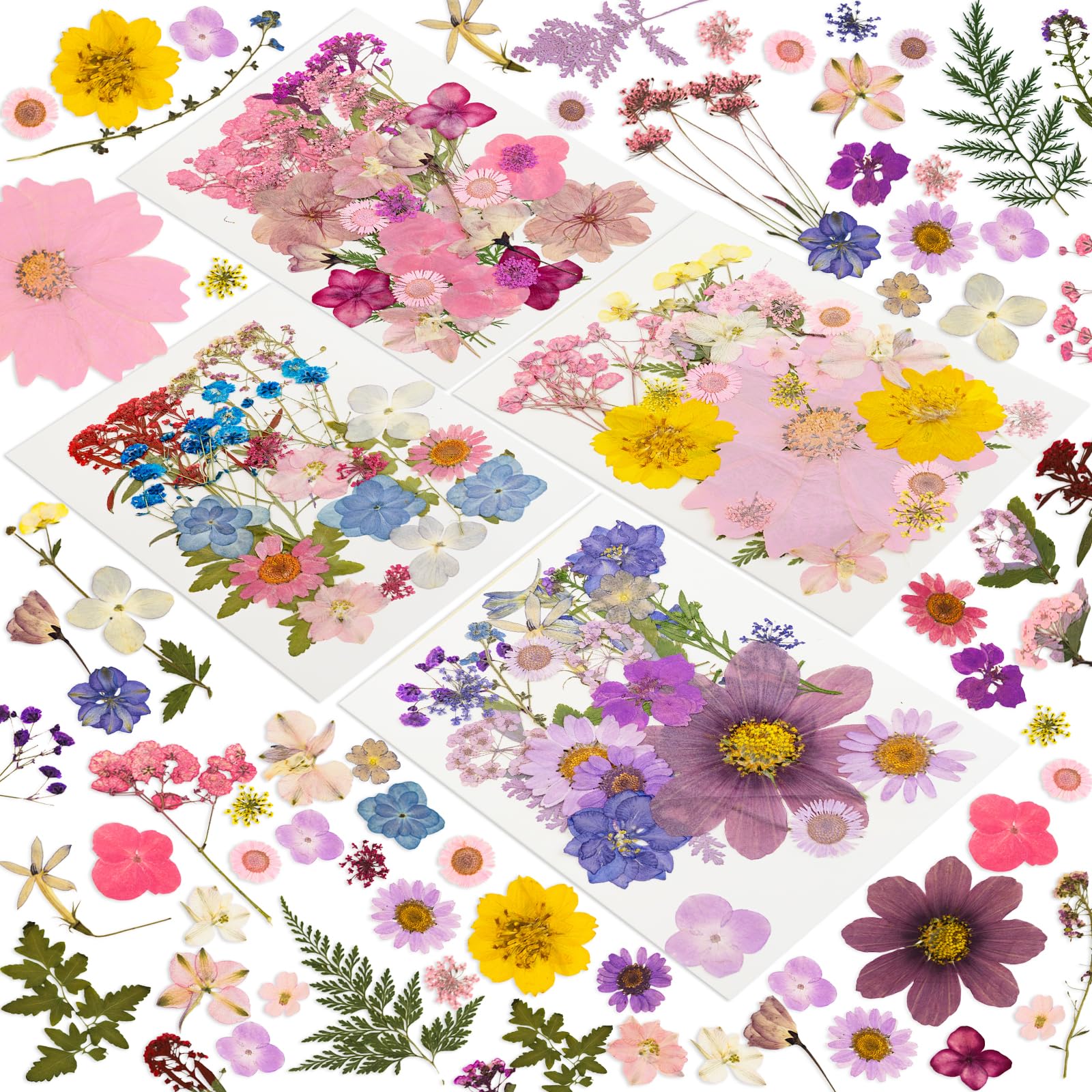 204 Pcs Dried Pressed Flowers for Resin Crafts, Real Natural Pressed Flowers and Leaves, Vacuum Sealed Dry Flowers for Epoxy Resin Jewelry Making, Candle & Soap Making, Nail Art (Purple pink)
