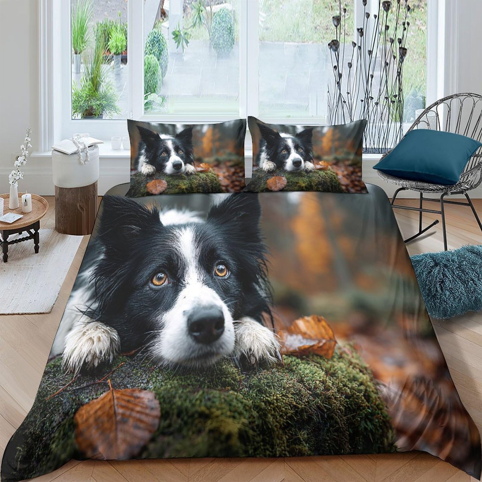 GPLZQXKJNH 3D Printed Border Collie Dog Duvet Cover Set Microfiber Soft Autumn Forest Quilt Cover with 2 Pillowcases for Bedroom Decor Single（135x200cm）