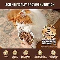 Vista 4 de Wellness CORE Alimento seco para gatos adultos de interior y exterior, sin granos, natural, pavo original, harina de pavo y pollo (bolsa de 5 libras)