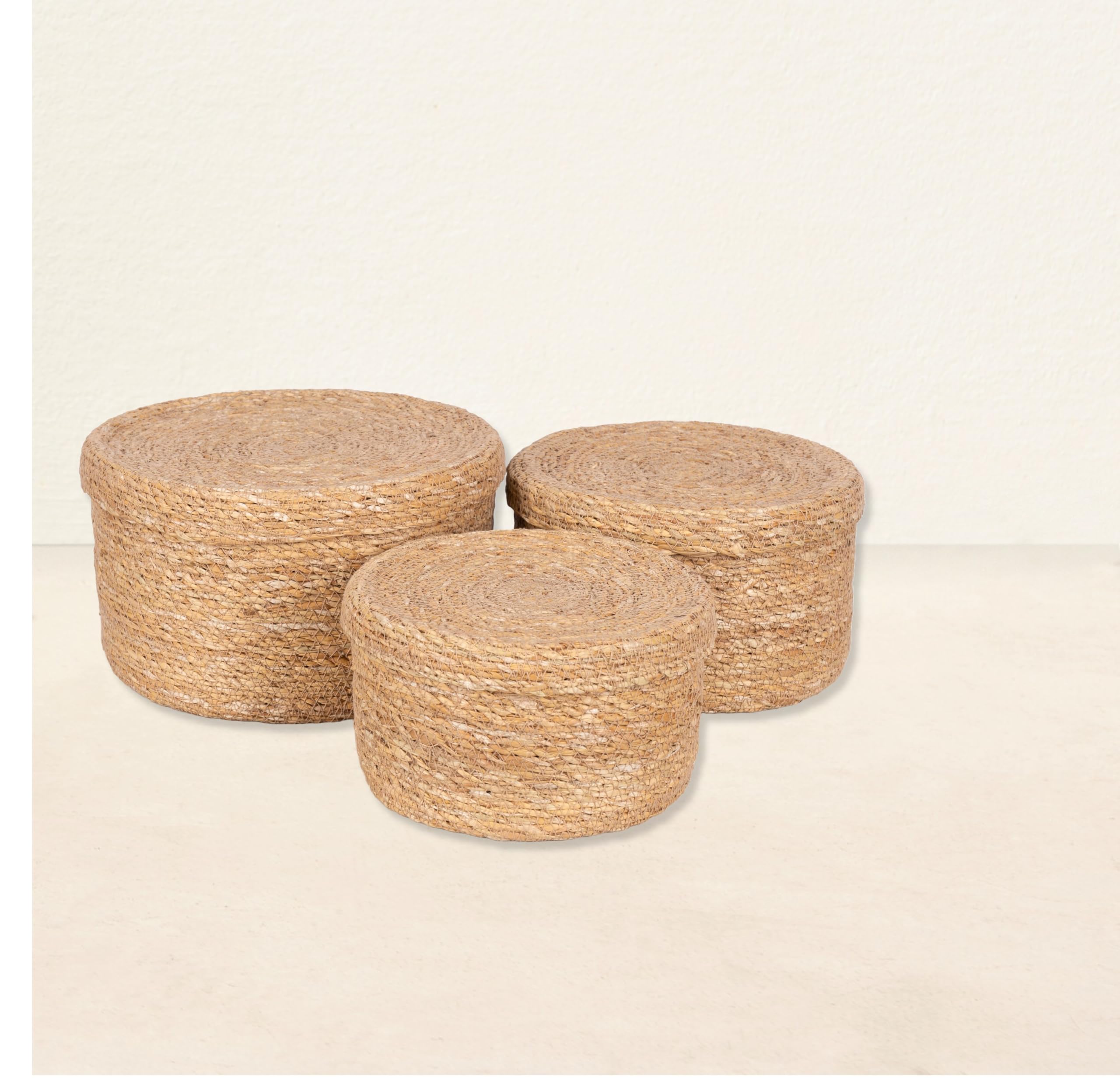 Olly & Rose Lot de 3 paniers de rangement en jonc de mer naturel avec couvercles – Durable 25, 22, 19 cm, décoration d'intérieur de qualité supérieure