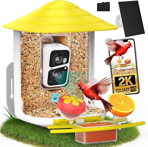Miniatura 18 de birdsnap® TUC Comedero para Pájaros con Cámara 2K HD, Panel Solar Tarjeta de 32GB Percha 4-en-1, Vista de 160° Detección y Notificación Automática