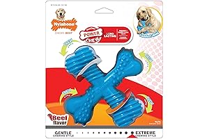 Nylabone Power Chew Galileo Bone Dog Chew Toy - Beef Flavor