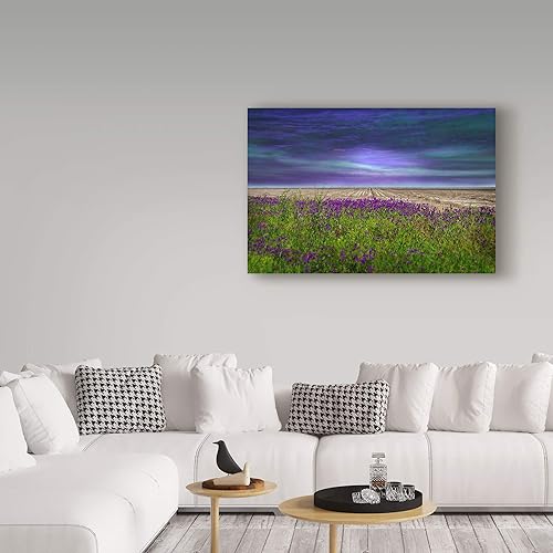 Miniatura 3 de Trademark Fine Art Lienzo de Barbara Simmons "Más allá de la flor silvestre"