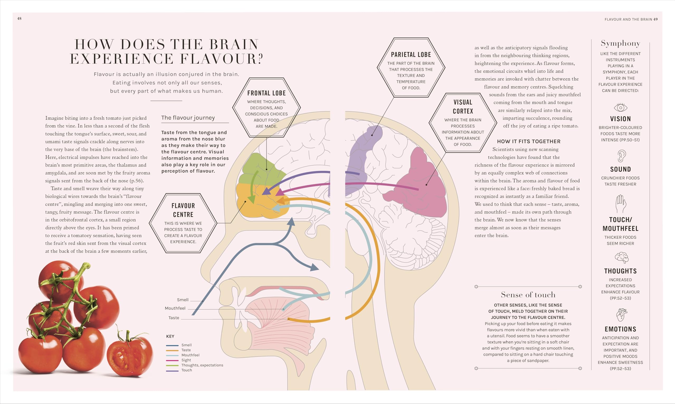 The Science of Flavour: Unlock the Secrets of Flavourful Cooking