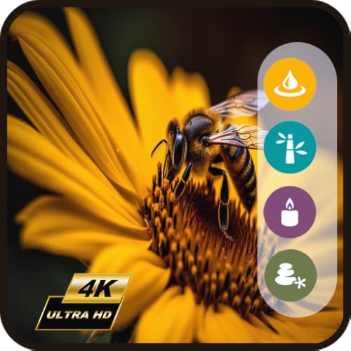Buzzing Spring Bees-Flower Garden TV Nature