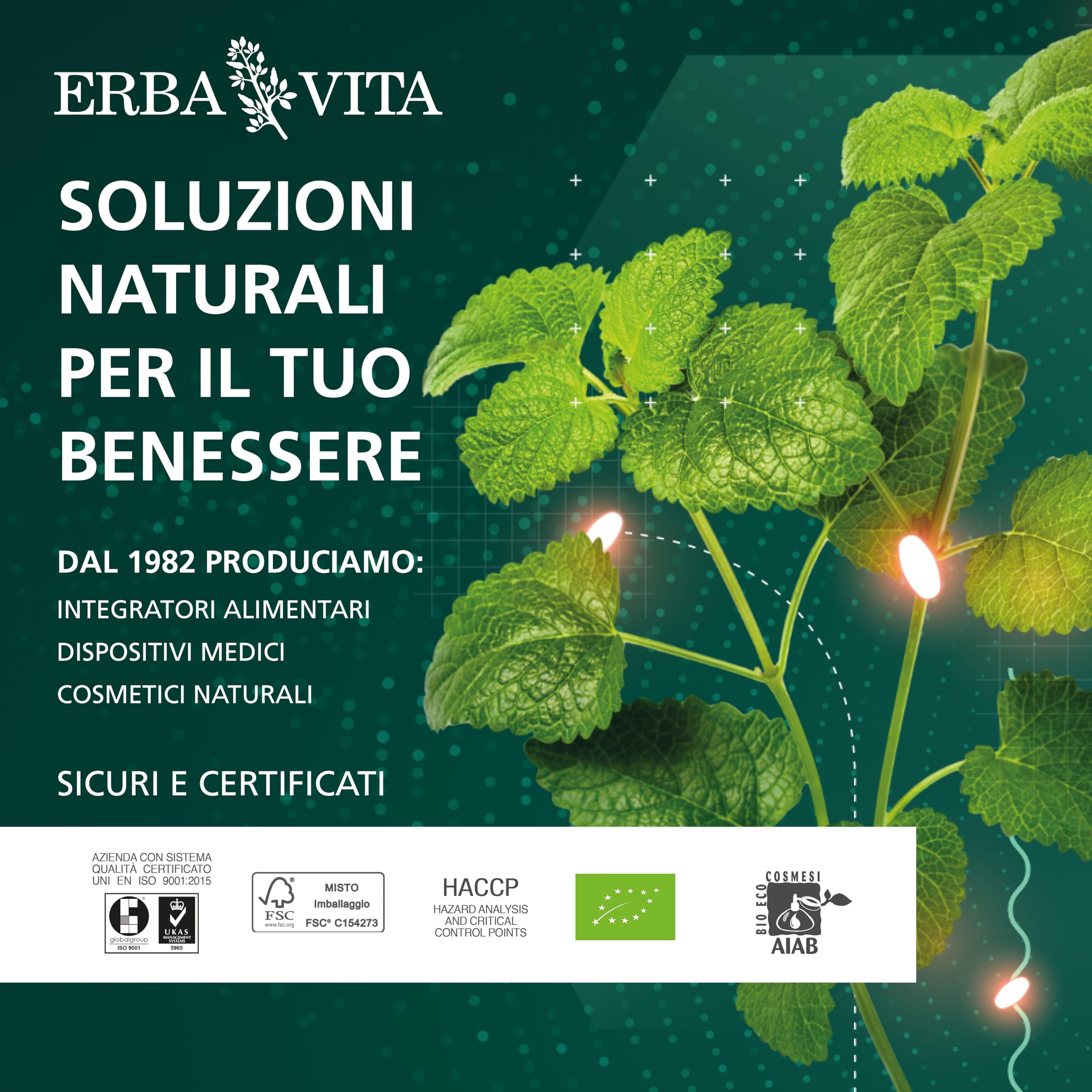 ERBA VITA Memo Energy Flaconcini integratore alimentare a base di Ginkgo Biloba e Bacopa utili per favorire la memoria e funzioni congnitive - Formato 10 Flaconcini