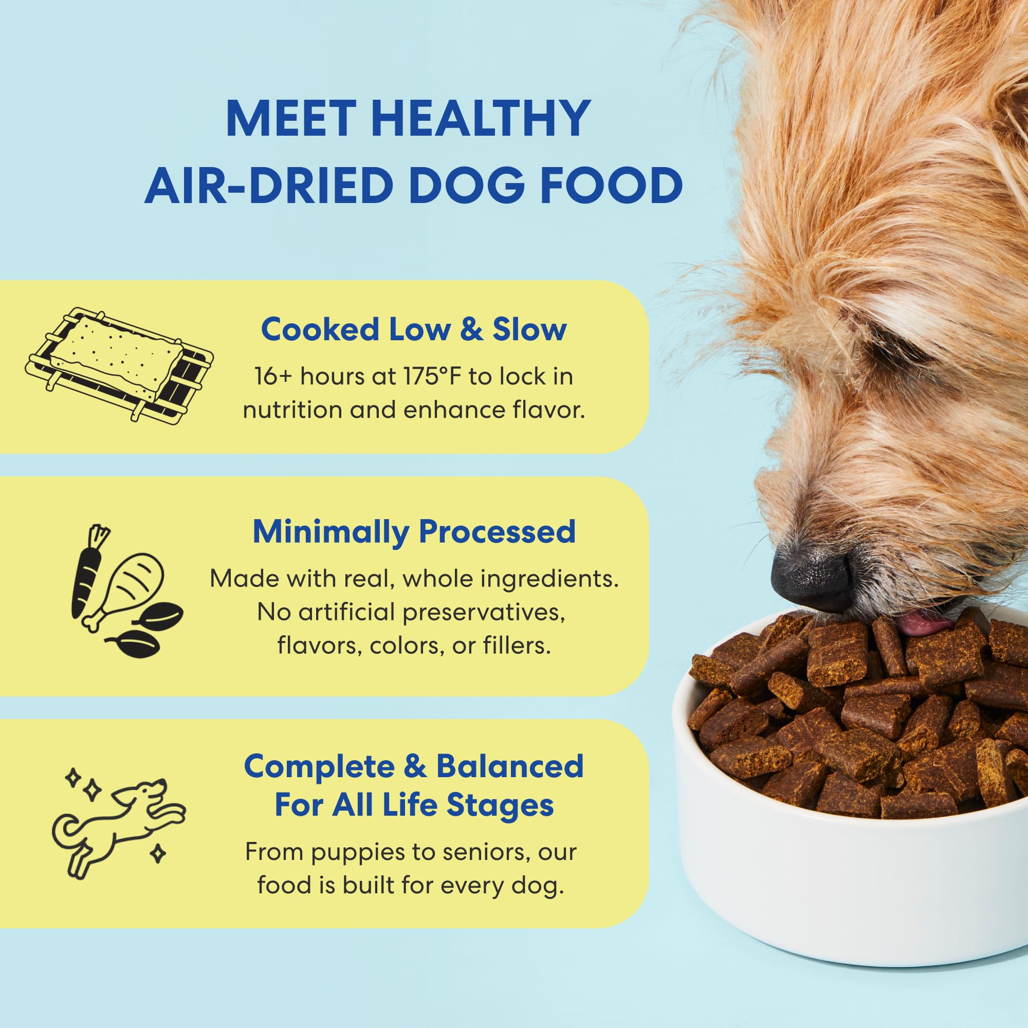 The Pets Table Alimento para perros secado al aire para pollo y batata, bolsa de 1,4 l